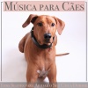 Dog Music Dreams、Puppy Music Therapy、Relaxmydog《Brisa Dos Himalaias》[MP3/LRC]