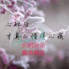 魔尊楠哥 - 伤感独白哭腔 (伤心的女人十二部)