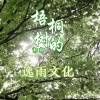 逸雨 - 梧桐树的郭郭
