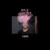 H2O - B.C.C.