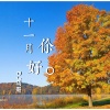 DJ马哥 - 比起晴空我更需要你