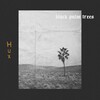 Hux - black palm trees (Explicit)