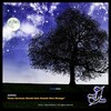 Jumkins - Some Harmony Should Have Sounds Here Strange (RadioEdit)