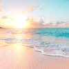 Future City、TROPICAL WAVES、DJ Tropicz、Sehul Charaniya - Summer Fun