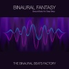 The Binaural Beats Factory、The Sleep Aids、The Calm Music Crew - Binaural Fantasy