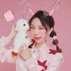 小绵羊 - 就这样吧