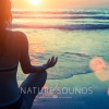 Musik Untuk Belajar、Relaxed and Peaceful Zen Music、Musica Classica per Studiare e Concentrarsi - Birds