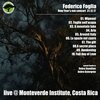 Federico Foglia - Wipeout (Live)