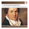 l'archibudelli、Ludwig van Beethoven《I. Allegro con brio》[MP3/LRC]