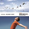 杨锦聪 - 欢舞