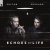 Sultan & Ned Shepard、Nadia Ali、IRO - Almost Home