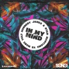 Sunnery James & Ryan Marciano、Marc Volt《In My Mind》[MP3/LRC]