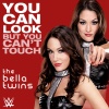 WWE (世界摔角娱乐)、kim sozzi - WWE: You Can Look (But You Can't Touch)(The Bella Twins)