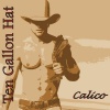 calico - Ten Gallon Hat