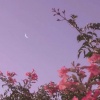 FLuoRiTe - Nightscape