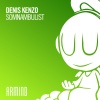 Denis Kenzo《Somnambulist》[MP3/LRC]