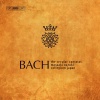 Bach Collegium Japan、carolyn sampson、鈴木雅明《O holder Tag, erwünschte Zeit, BWV 210: No. 1, O holder Tag, erwunschte Zeit》[MP3/LRC]