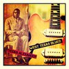 texas alexander、Lonnie Johnson - Death Bed Blues
