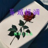 精彩丁先森 - 节奏男嗓