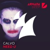 Calvo《Need U》[MP3/LRC]