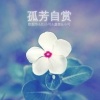 欧韶华、虞姬、小可、苏可可 - 我跟你说再笑打掉你的牙 (Remix)