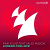 Pink Fluid、Niles Mason - Looking For Love (Radio Edit)