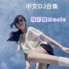 精彩鑫 - 体面 (咚鼓版)(长音频)