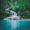 Amazon Jungle Sounds - Jungle Calm Sounds of Wild Life