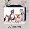 מוזיקת כלבים - מוזיקת כלבים