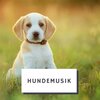 Hunde Musik - Hundemusik