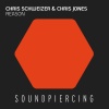 Chris Schweizer、Chris Jones《Reason (Original Mix)》[MP3/LRC]