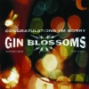 gin blossoms - Day Job (Album Version)