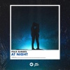 Felix Samuel - At Night