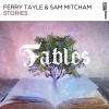 Ferry Tayle、Sam Mitcham《Stories (Original Mix)》[MP3/LRC]