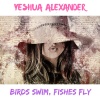 Yeshua Alexander - Birds Swim, Fishes Fly