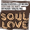 Lee Wilson、Kelvin Sylvester《Everything She Wants (Dr Packer Remix)》[MP3/LRC]