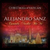 Alejandro Sanz - Cuando Nadie Me Ve (Live)