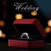 Relaxing Piano Music、Piano Lovers Community、Twilight Romantic Music Zone - Best Piano Wedding Music