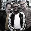 Montis、Anton Goudsmit、Frank Montis、Goudsmit、Directie、Cyril Directie - Don Rocko