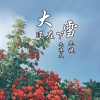 九姨夫、九姨《大雪还在下》[MP3/LRC]