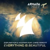 Disfunktion、Husman、chris arnott - Everything Is Beautiful (Extended Mix)