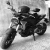 Jamin - Moto