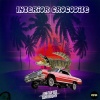 Weekend Warriors - Interior Crocodile