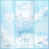 欢笙 - 云兮客
