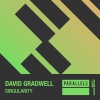 David Gradwell《Singularity (Original Mix)》[MP3/LRC]