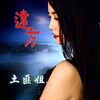 土匪姐 - 远方