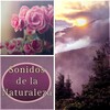 Day Spa Academy - Sonidos de la Naturaleza
