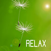 relax - Soothing Sanctuary