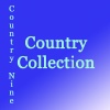 Hank Williams - Your Cheatin' Heart