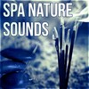 Spa Massage Solution - Headache Go Away (Falling Rain)